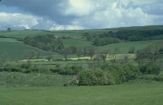 British countryside